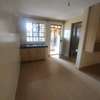 Bedsitter apartment to let at Naivasha road thumb 5