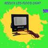 Neelux 30 Watts Outdoor DC Electric Security thumb 1