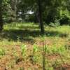 0.125 ac Residential Land in Thika Road thumb 4