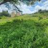 0.2 ha Commercial Land at Merisho Road thumb 9