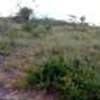 50X100 plots for sale - Kitengela KCA University thumb 0
