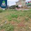 0.125 ac Commercial Land at Muchatha thumb 3