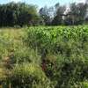 1000 m² residential land for sale in Ngong thumb 0