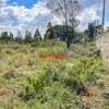 3.5 ac Land in Kikuyu Town thumb 5