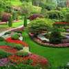 Expert Landscaping & Gardening Services  for Estate & Individual Homes thumb 2