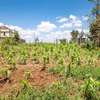 Prime Residential plot for sale in kikuyu, kamangu thumb 6