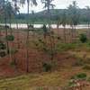 218 Acres Touching Galana River In Kilifi Is For Sale thumb 3