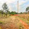 0.05 ha Residential Land in Kamangu thumb 26