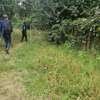 4 ac land for sale in Kilimani thumb 3