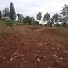 40X80ft PLOTS FOR SALE AT KABATI ZABKA IN MURANGA COUNTY thumb 4