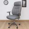 Office Chair: Managers Experience High back Office Chair thumb 0