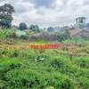 0.10 ha Residential Land in Kikuyu Town thumb 13