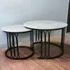 Dining Table;  Distinctive Silhouette Marble Coffee Table thumb 0