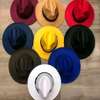 Fedora hats in various colors thumb 1