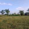 3 (50 by 100)  fertile land plots in Kamulu thumb 4