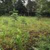 0.125 ac Residential Land in Thika Road thumb 1
