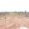0.25 ac Residential Land at Diani Beach Road thumb 2