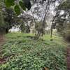 5 ac Land in Kitisuru thumb 4