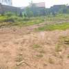 Prime 50 by 60 ft Plot For Sale In Murera, Ruiru. thumb 0