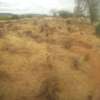 100 Acres Touching River Athi in Makueni is For Sale thumb 2