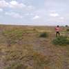 50 by 100 and 1 Acres in Nanyuki thumb 2