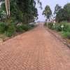 0.25 ac Land at Runda Mhasibu Estate thumb 2