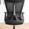 Ergonomic Mesh Office Chair thumb 4