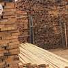 Cyprus timber 2x2 in Nairobi Kenya thumb 1