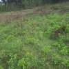 Beautiful one eighth plots in Ngong thumb 7