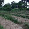 80,940 m² Commercial Land in Kwale County thumb 13