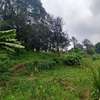 Residential Land at Kitisuru Ridge 44 thumb 29