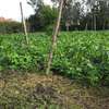 500 m² residential land for sale in Ongata Rongai thumb 5