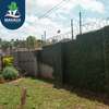 3 Bed House with En Suite at Guango East Estate thumb 12