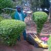 Best Landscaping Company in Nairobi,Mombasa,Nakuru,Nyeri thumb 0
