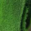 Grass carpets (04_04) thumb 1