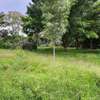 Prime plot for sale in Upperhill thumb 2