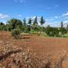 6,000 m² Land in Limuru thumb 24