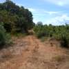 17 Acres in Malindi Gede Is Available For Sale thumb 1