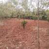 0.25 ac Residential Land in Ngong thumb 0