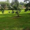 Prime Residential plot for sale in Ngong, Tulivu Estate thumb 4