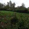 0.25 ac Residential Land in Ngong thumb 4