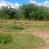 200 Acres Agricultural Land Is For Sale In Kitui Kithyoko thumb 2