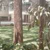 2 Bed Apartment with En Suite in Ruaka thumb 30