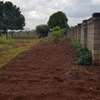 0.5 ac Residential Land at Hibiscus Drive thumb 3