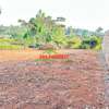 0.05 ha Residential Land in Kamangu thumb 11