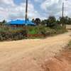 0.05 ha Residential Land at Migumoini thumb 2