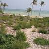 7.9 Acres Beachfront Land For Sale In Watamu thumb 5