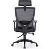 Office Chair : Staff Friendly Executive Chair thumb 5