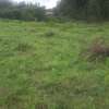 Beautiful one eighth plots in Ngong thumb 8
