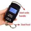Electronic Scale Digital Portable 50Kg Weighing Scale thumb 0